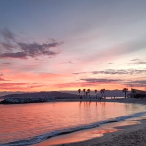 Parce que Toulon, simplement